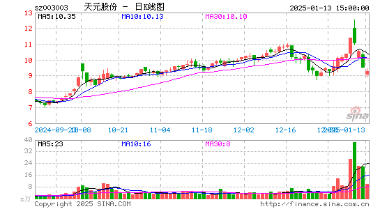 天元股份