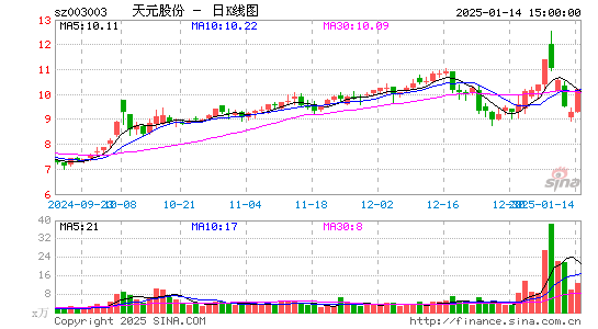 天元股份