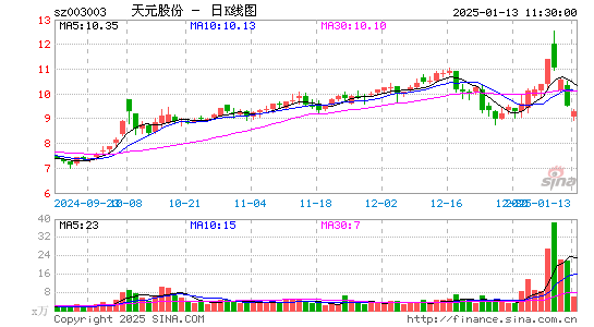 天元股份