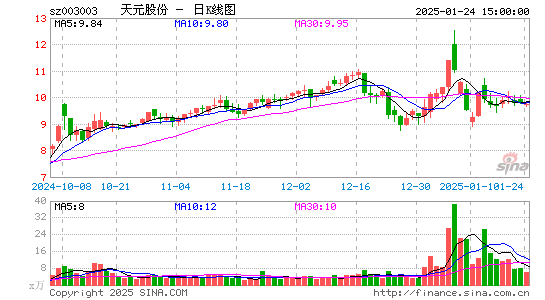 天元股份