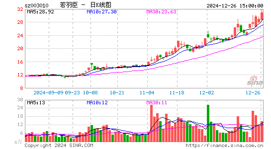 若羽臣