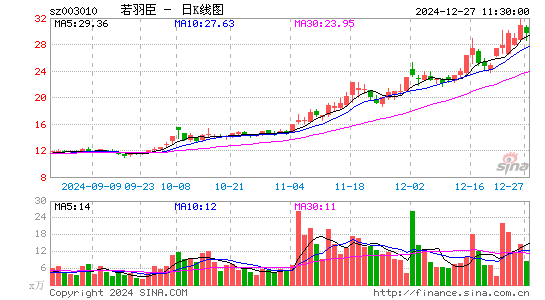 若羽臣