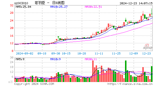 若羽臣