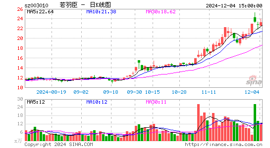 若羽臣