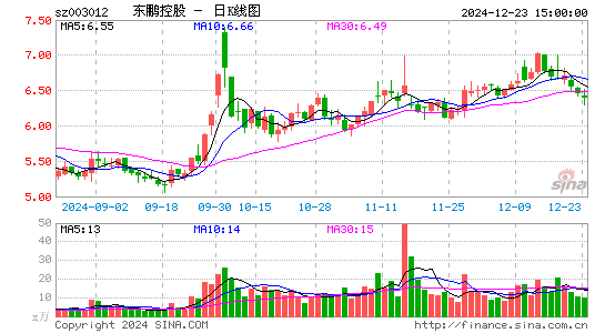 东鹏控股