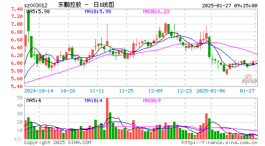 东鹏控股