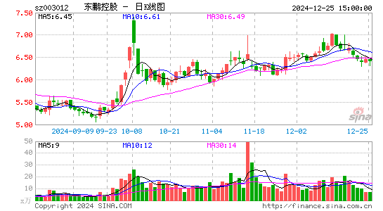 东鹏控股