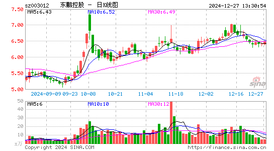 东鹏控股