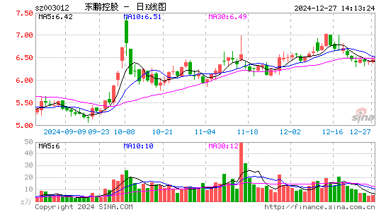 东鹏控股