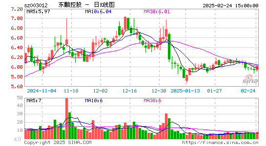 东鹏控股