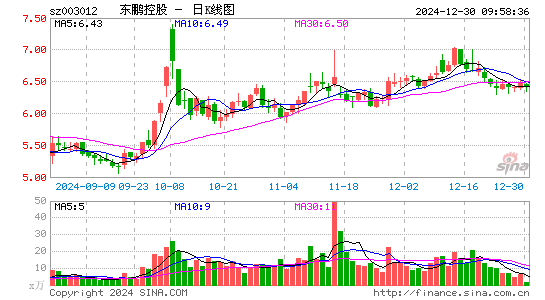 东鹏控股