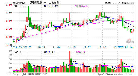 东鹏控股