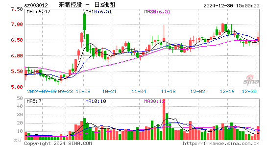 东鹏控股