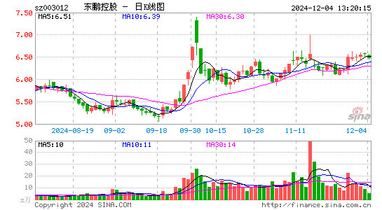 东鹏控股