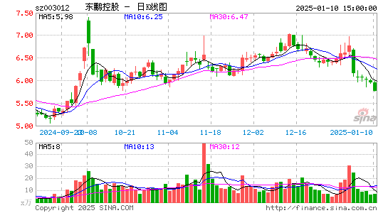 东鹏控股