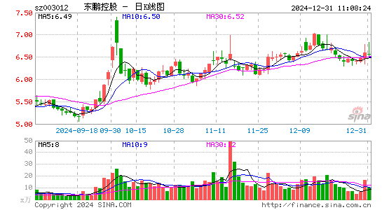 东鹏控股