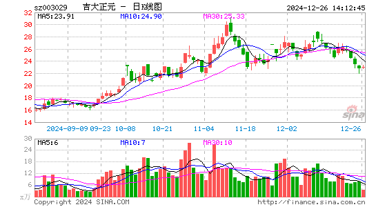 吉大正元