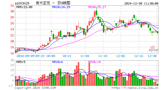 吉大正元