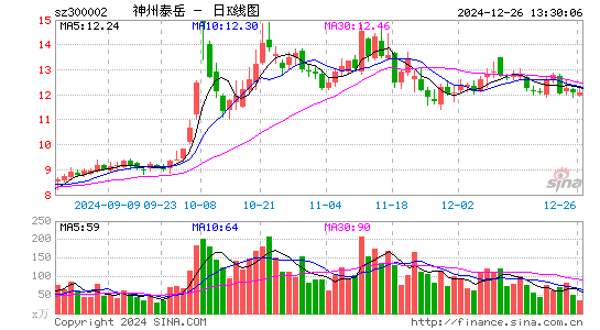 神州泰岳