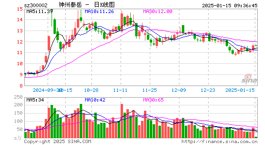 神州泰岳