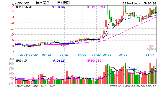 神州泰岳