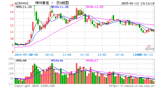 神州泰岳