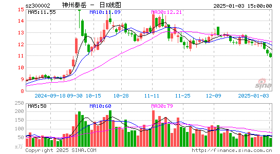 神州泰岳