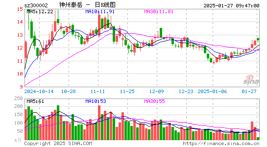 神州泰岳