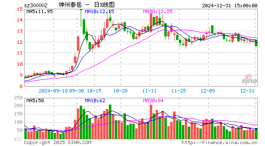 神州泰岳