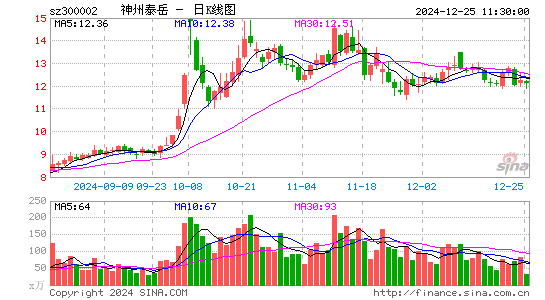 神州泰岳