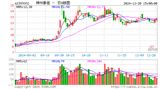 神州泰岳