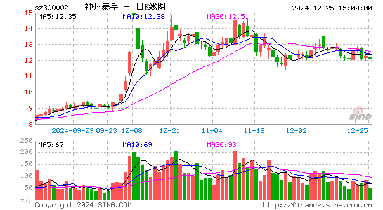 神州泰岳