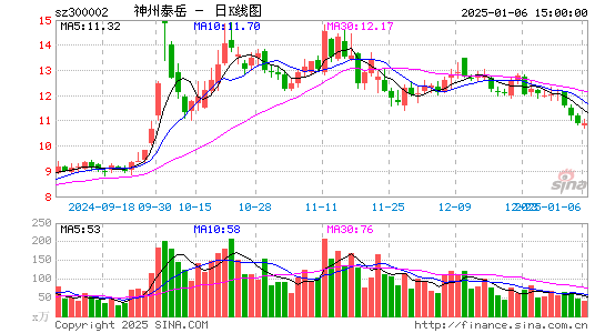 神州泰岳