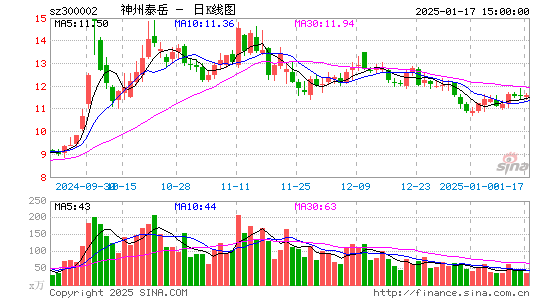 神州泰岳