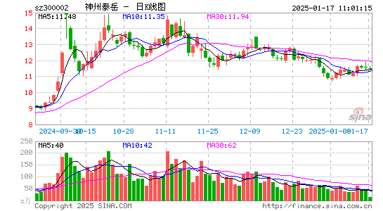 神州泰岳