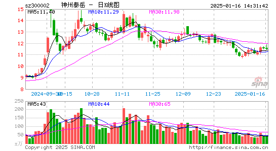 神州泰岳