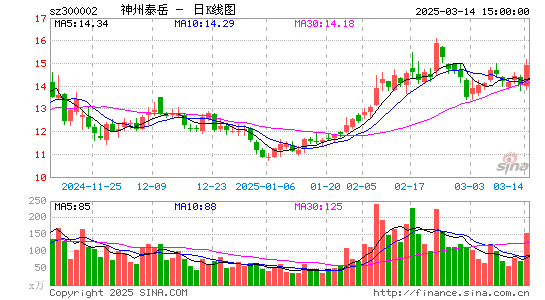 神州泰岳