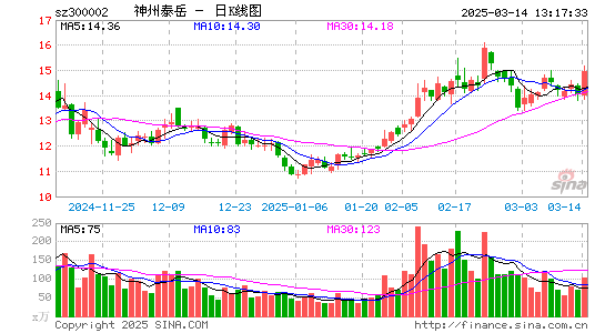 神州泰岳