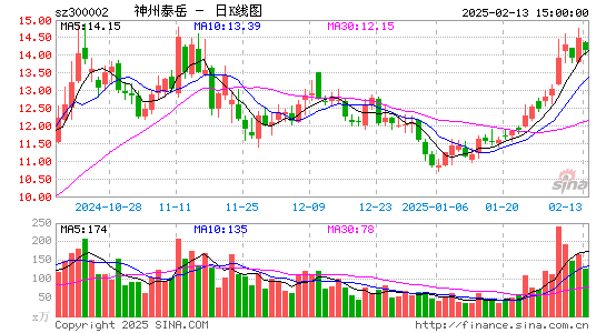 神州泰岳