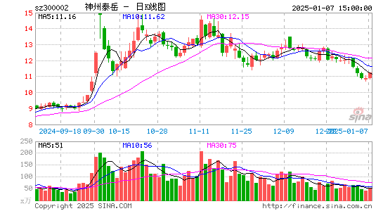 神州泰岳