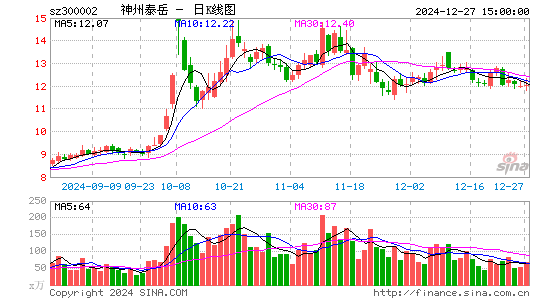 神州泰岳