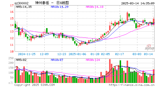 神州泰岳