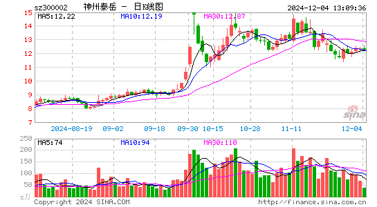 神州泰岳