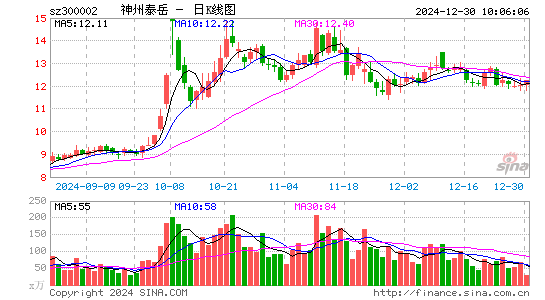 神州泰岳