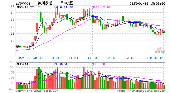 神州泰岳