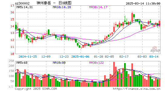 神州泰岳