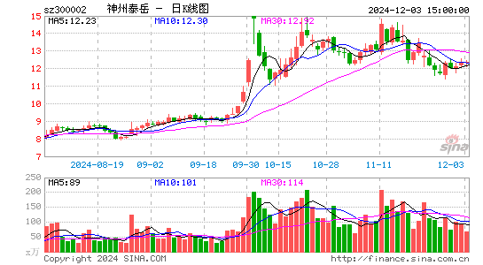 神州泰岳