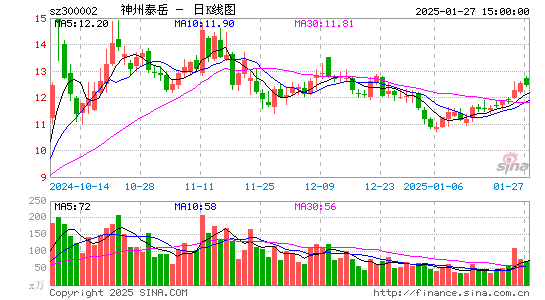 神州泰岳