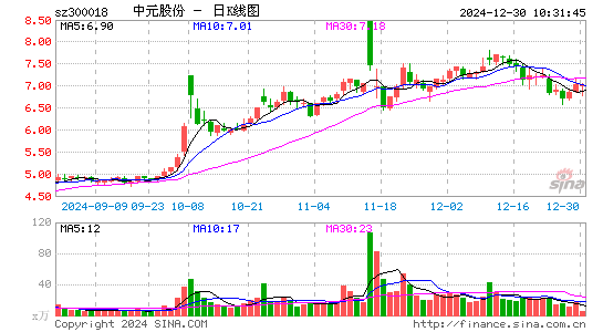 中元股份