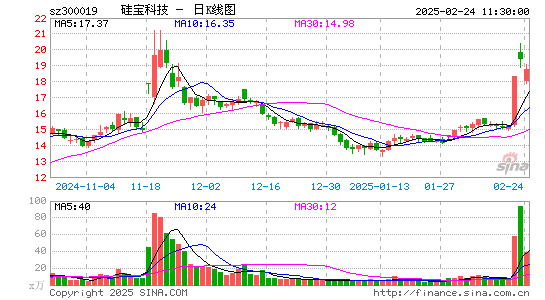 硅宝科技